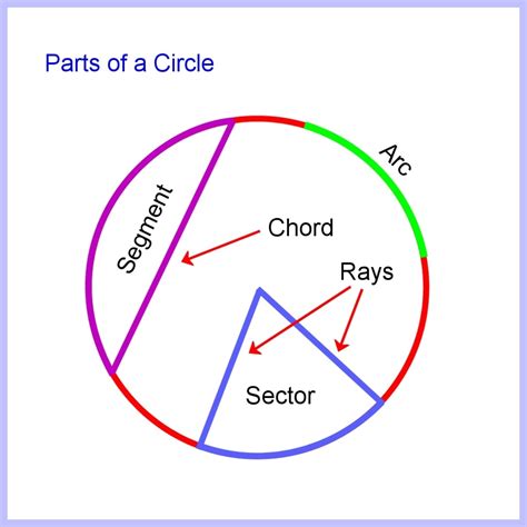 Circle Sectors And Arcs Circle Segements Maths Made Circles And Arcs Worksheet - Circles And Arcs Worksheet