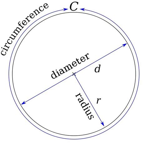 Circles Radius Diameter Circumference Area Super Teacher Worksheets Circle Practice Worksheet - Circle Practice Worksheet