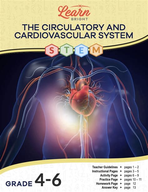 Circulatory And Cardiovascular System Stem Learn Bright 4th Grade Circulatory System - 4th Grade Circulatory System