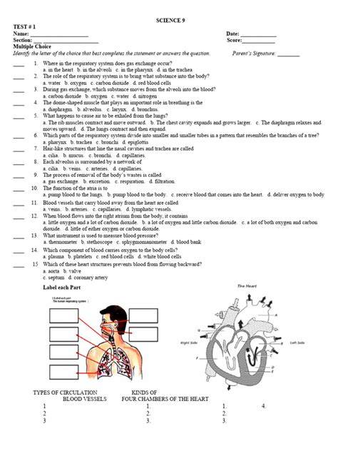 circulatory and respiratory system test sheets