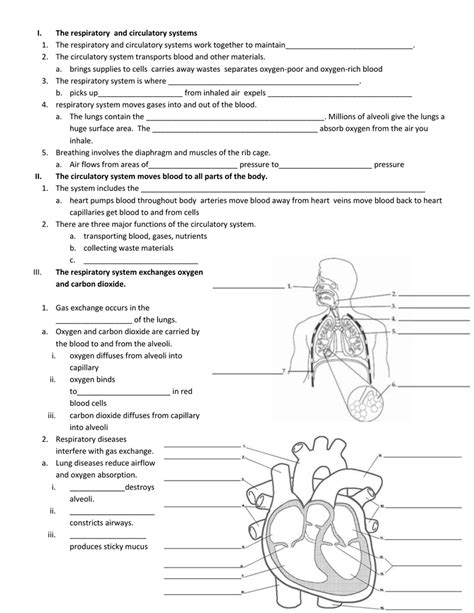 Circulatory And Respiratory System Worksheet   50 The Circulatory And Respiratory Systems Worksheets For - Circulatory And Respiratory System Worksheet
