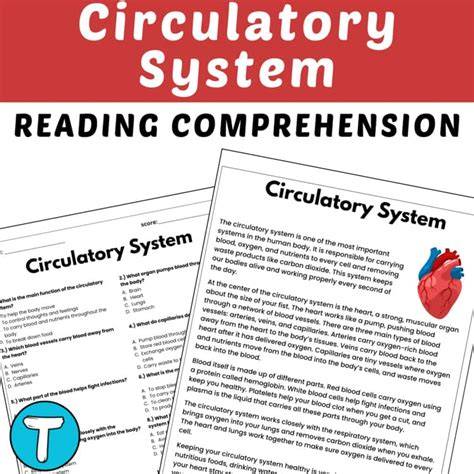 circulatory system comprehension passage