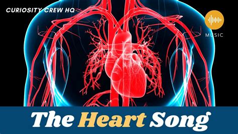 Circulatory System Song