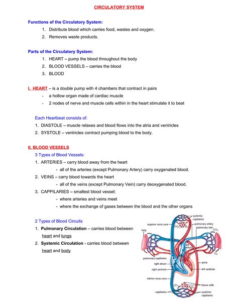 Download Circulatory System Study Notes 