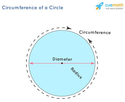 Circumference Of A Circle Colour By Number Activity Circle Color By Number - Circle Color By Number