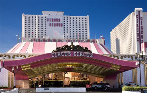 circus circus in las vegas