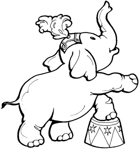 Circus Elephant Free Online Coloring Page Circus Elephant Coloring Page - Circus Elephant Coloring Page