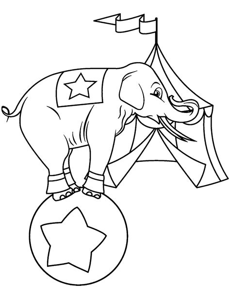 Circus Elephant On The Stage Coloring Page Coloringall Circus Elephant Coloring Page - Circus Elephant Coloring Page