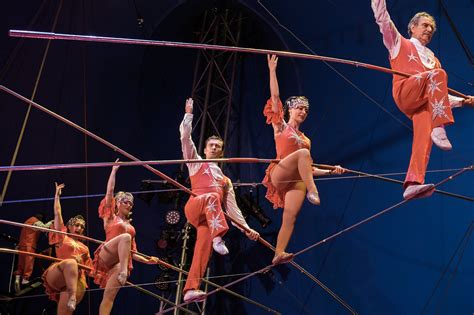 circus flora