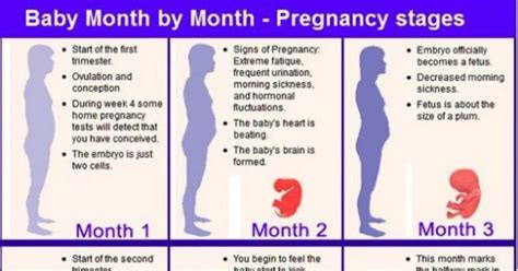 ciri ciri perut hamil 1 minggu