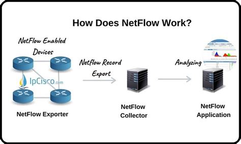 cisco show netflow