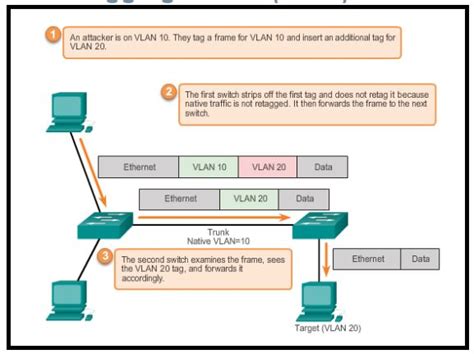 Read Online Cisco Netacad Answers Chapter 11 