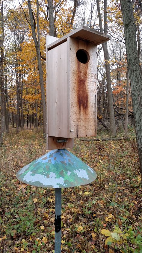 Citizen Science Amp Wood Duck Boxes Nature Into Science Duck - Science Duck