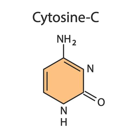 citosina