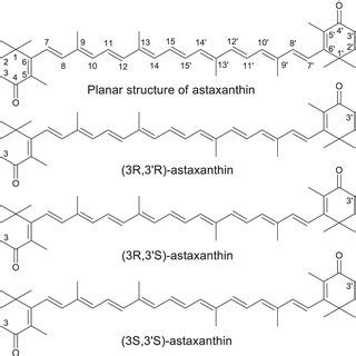 Download Citrate A Possible Precursor Of Astaxanthin In Phaffia 