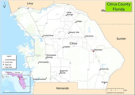citrus florida