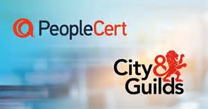city and guilds osce tasks vet nursing