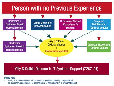 city and guilds systems support
