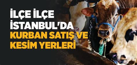 civa satış yerleri