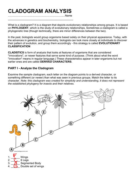 Cladogram Analysis