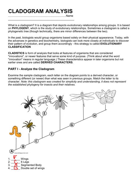 Cladogram Analysis The Biology Corner Cladograms And Phylogenetic Trees Worksheet - Cladograms And Phylogenetic Trees Worksheet