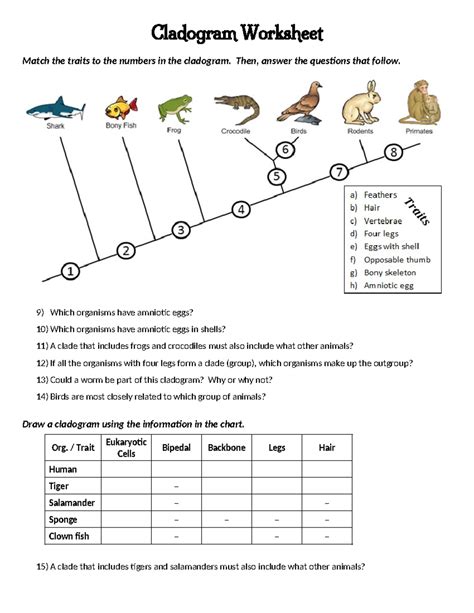 Cladogram Questions