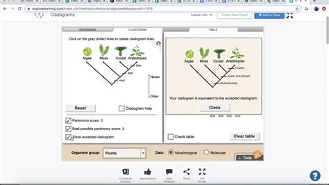 Cladogram Se H Gizmo Answer Key