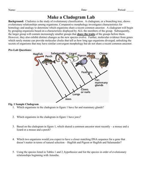 Cladogram Worksheet Answers Venn Diagram   Animal Cell Worksheet Labeling With Bio By Nathan - Cladogram Worksheet Answers Venn Diagram