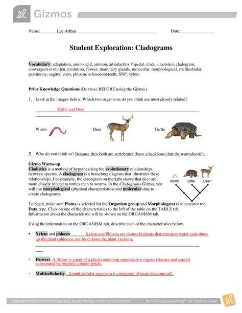 Cladograms Gizmo Answer Key