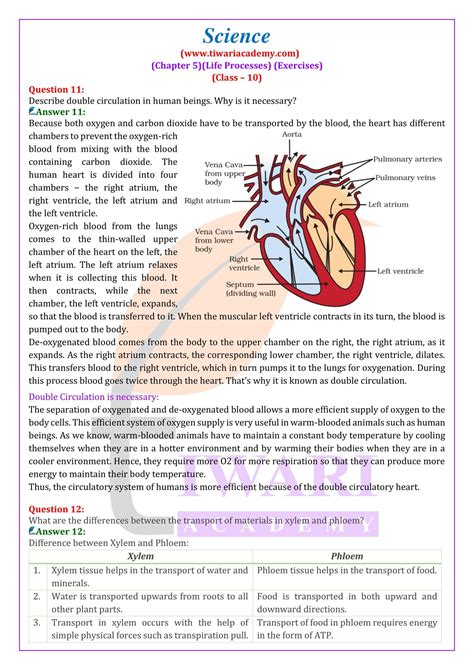 Class 10 Science Chapter 5 Notes