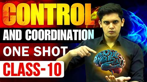 Class 10th Control And Coordination Question Answers