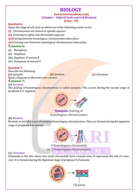 Class 11 Biology Chapter 10 Notes