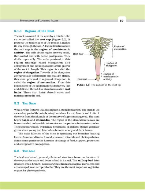 Class 11 Biology Chapter 5 Question Answers