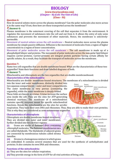 Class 11 Biology Chapter 8 Notes