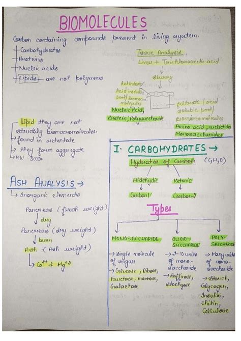 Class 11 Biomolecules Notes