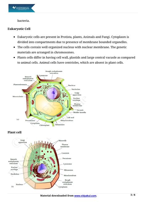 Class 11 Cell The Unit Of Life Notes