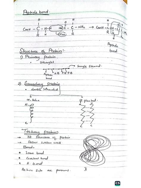 Class 11 Lecture Guide In 2015