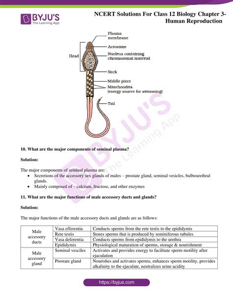 Class 12 Bio Ch 3 Notes