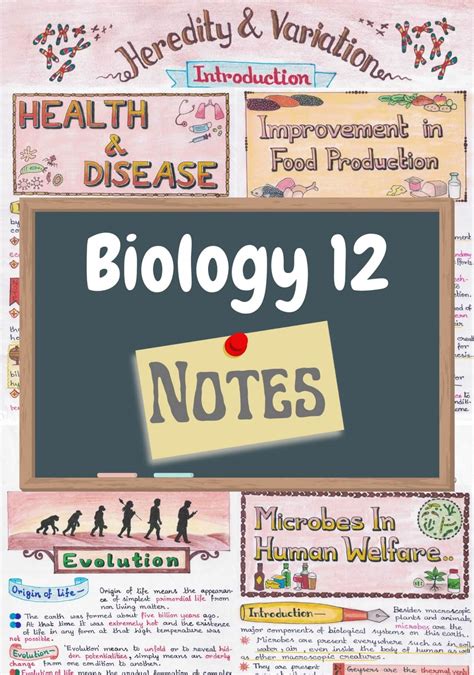 Class 12 Biology Notes Pdf