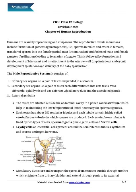 Class 12 Human Reproduction Notes