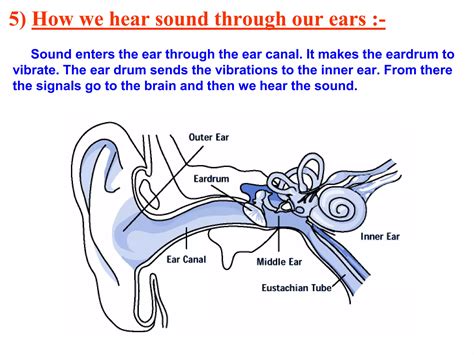 Class 8 Sound Chapter
