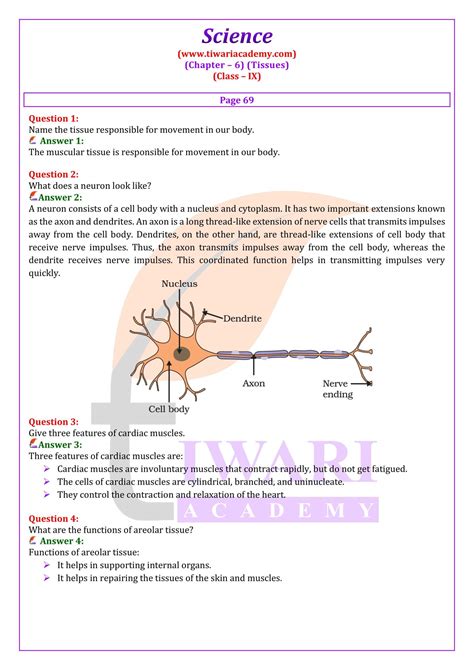 Class 9 Science Ch 6 Notes