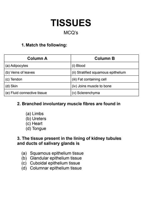 Class 9th Tissues Mcqs