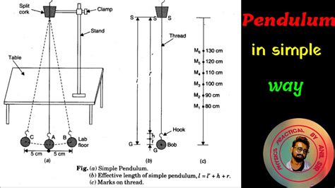 Download Class 11 Physics Pendulum Practical Bilio 