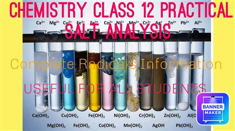 Full Download Class Xii Chemistry Practical Salt Analysis 