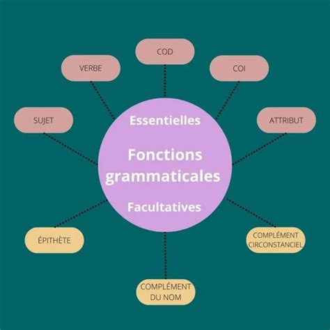 Classe Et Fonction Grammaticale