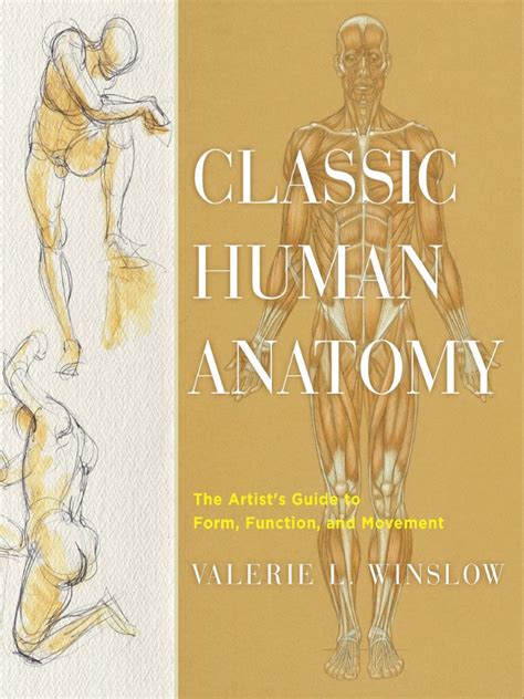 Classic Human Anatomy Designing Transformative Yog