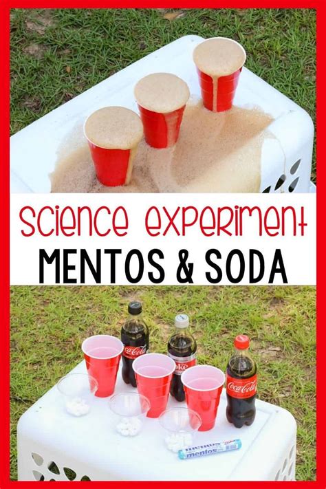 Classic Science Mentos And Soda Experiment Soda And Mentos Science Experiment - Soda And Mentos Science Experiment