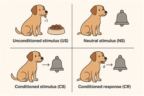 Classical Conditioning