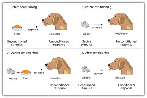Classical Conditioning Adalah